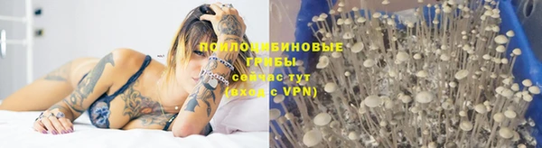сатива Карталы