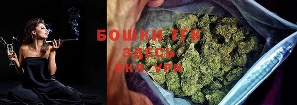 сатива Карталы