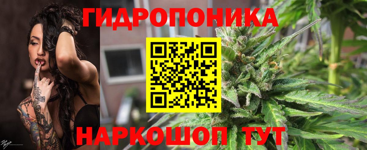 Юрга  Конопля планчик  Каннабис семена  Бошки марихуана ГИДРОПОН  Каннабис планчик  Вход с VPN 